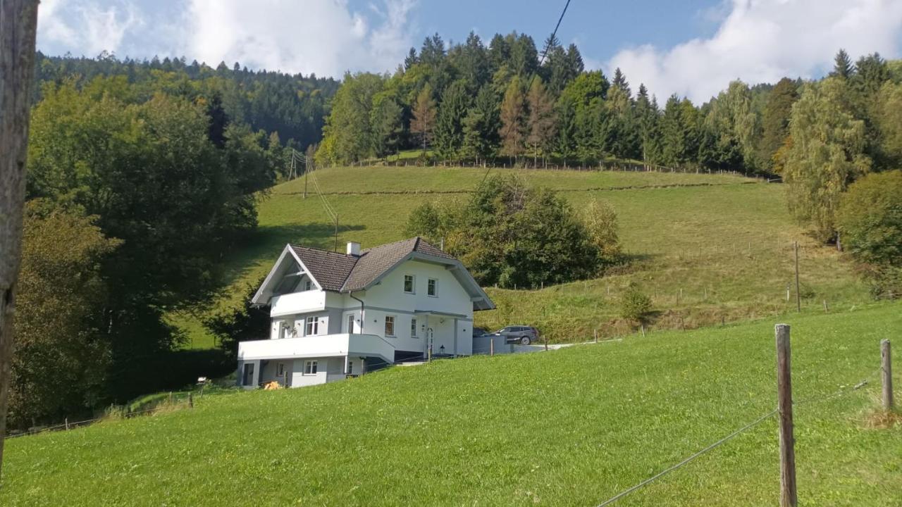 Aparts Lakeview -Gerlitzen -Ossiacher See -Ski Tratten  Exterior foto